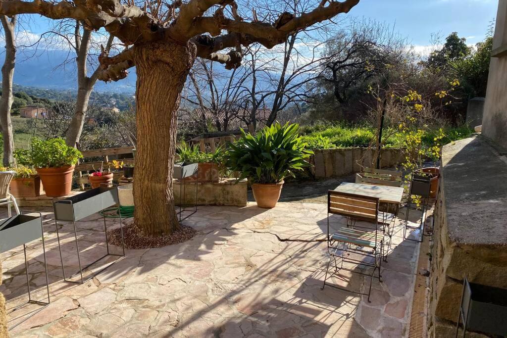 Maison Typique Corse A 10 Min D'Ajaccio Et Plages Алата Экстерьер фото